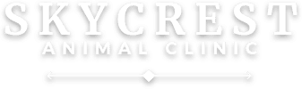 skycrest logo with line