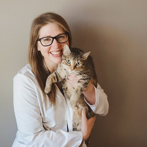 Female Veterinarian with glasses and long brown hair holding a stripped cat
