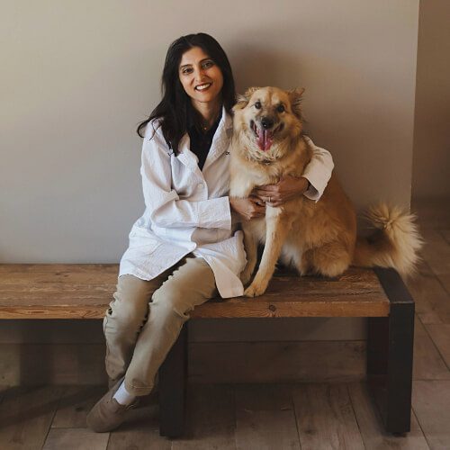 female veterinarian with long black hair, sitting on a bench hugging large light brown dog