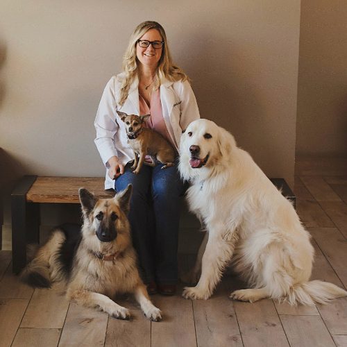 Female veterinarian with long blond hair and glasses posing with large golden retriever, German shepherd, and chihuahua